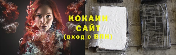 прущий лед Новозыбков