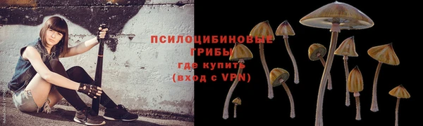 экстази Новокубанск