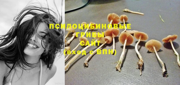 прущий лед Новозыбков