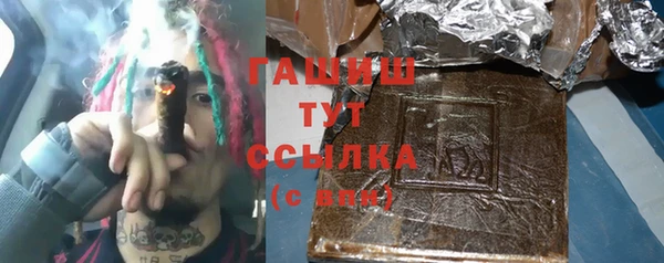 прущий лед Новозыбков
